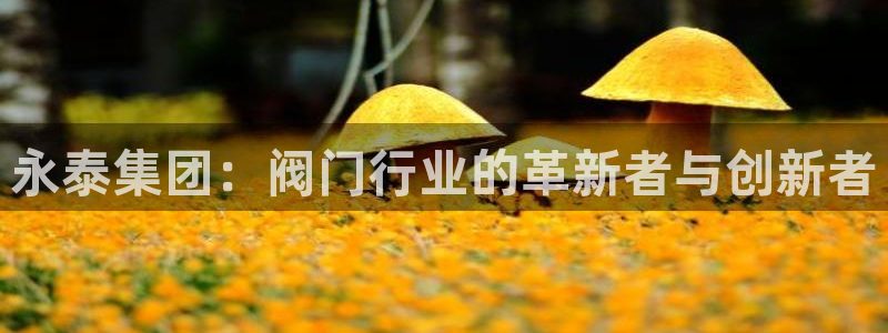 娱乐世界新宝gg