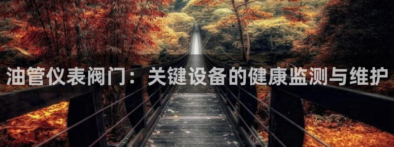 新宝gg维护